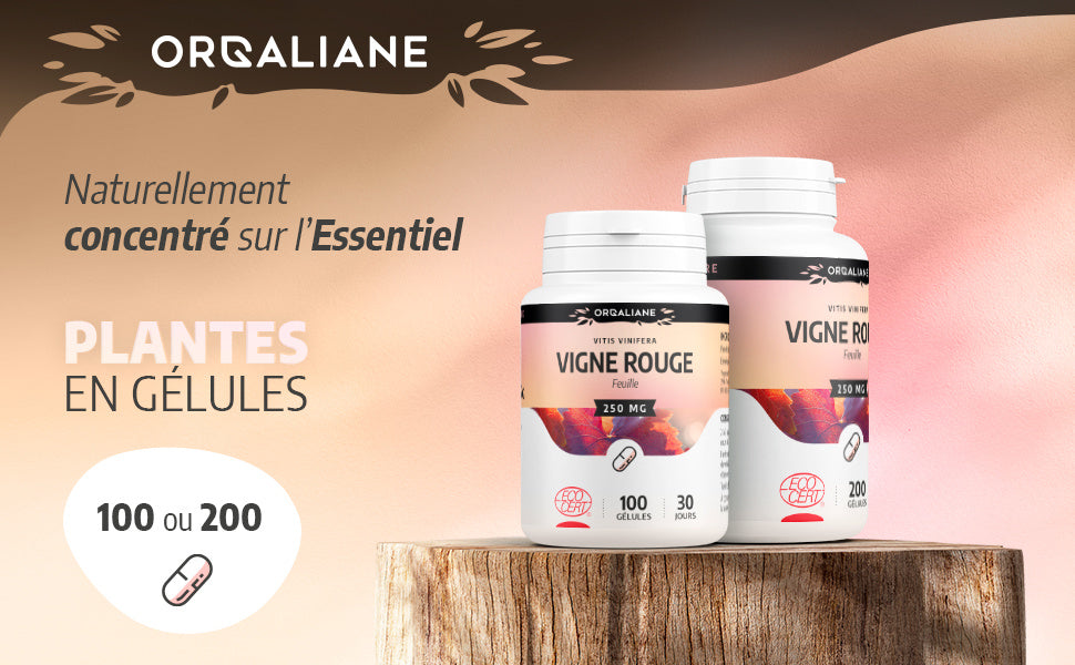 Vigne Rouge Biologique, 100 gélules pour quotidien et maison – vue détaillée 6