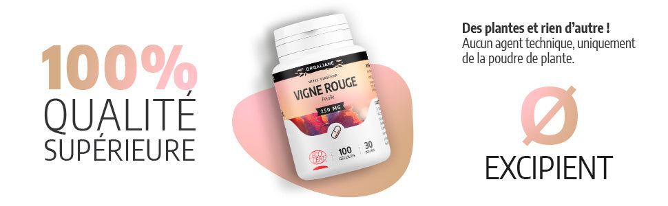 Vigne Rouge Biologique, 100 gélules pour quotidien et maison – vue détaillée 9