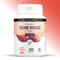 100 gélules