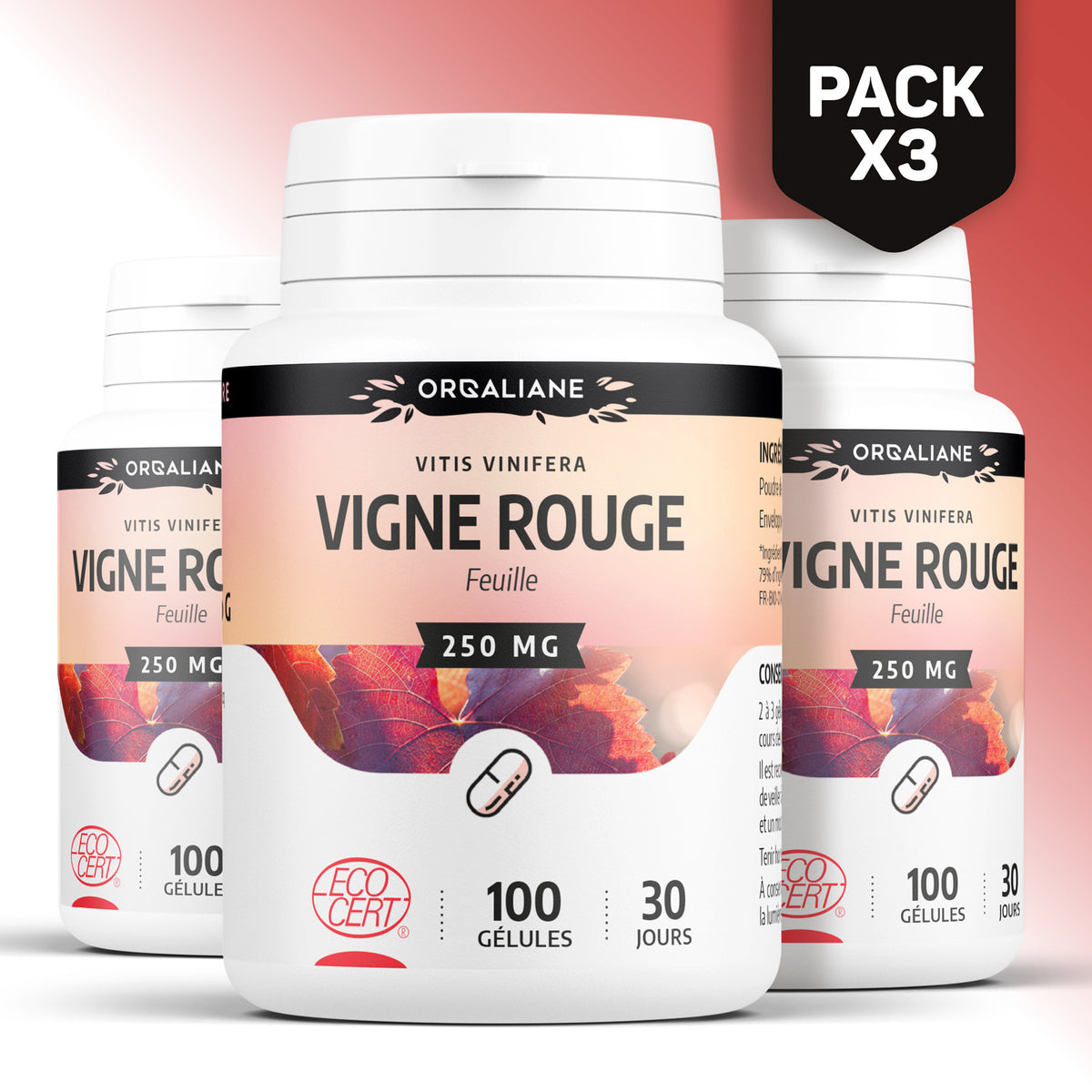 Vigne Rouge Biologique, 100 gélules pour quotidien et maison – vue détaillée 12