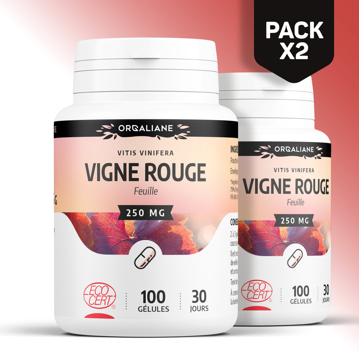 Vigne Rouge Biologique, 100 gélules pour quotidien et maison – vue détaillée 13